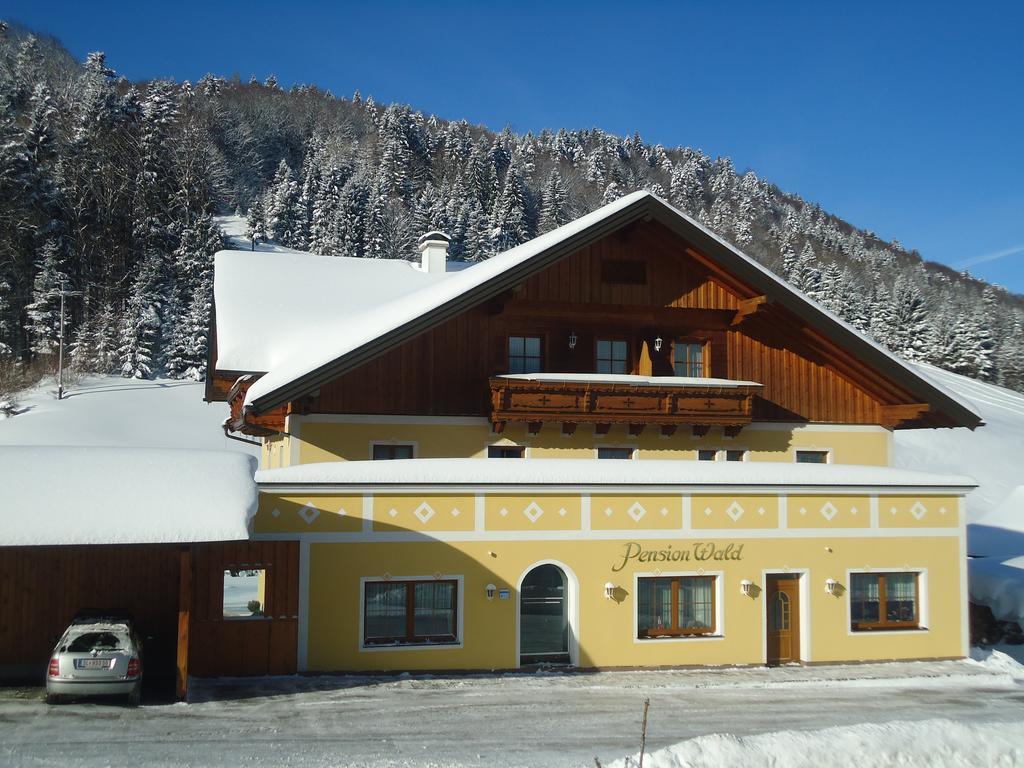 Pension Wald Faistenau Ngoại thất bức ảnh
