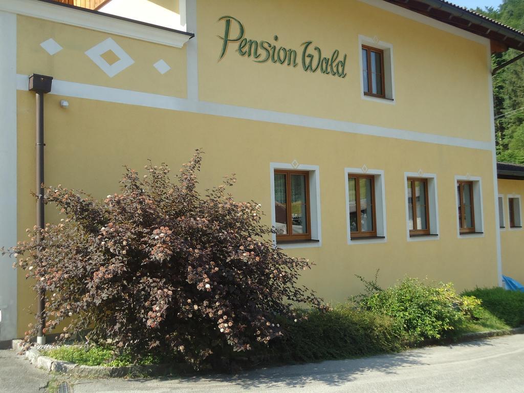 Pension Wald Faistenau Ngoại thất bức ảnh